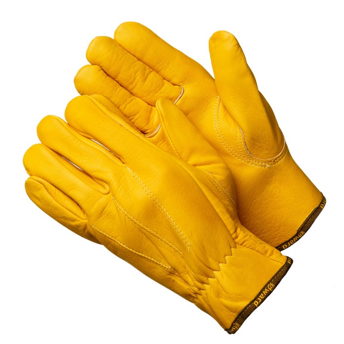 Force Gold